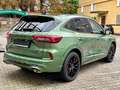 Ford Kuga ST-Line X PHEV 2.5 Auto/PANO/AHK/SHZ/ACC/LH Grün - thumbnail 8