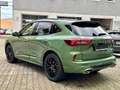 Ford Kuga ST-Line X PHEV 2.5 Auto/PANO/AHK/SHZ/ACC/LH Grün - thumbnail 6