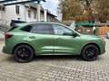 Ford Kuga ST-Line X PHEV 2.5 Auto/PANO/AHK/SHZ/ACC/LH Grün - thumbnail 9