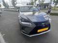 Lexus NX 300h AWD ULTIMATE EDITION AUT. Leder | Trekhaak | Stoel Gris - thumbnail 4
