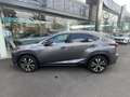 Lexus NX 300h AWD ULTIMATE EDITION AUT. Leder | Trekhaak | Stoel Gris - thumbnail 10
