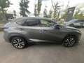 Lexus NX 300h AWD ULTIMATE EDITION AUT. Leder | Trekhaak | Stoel Gris - thumbnail 5
