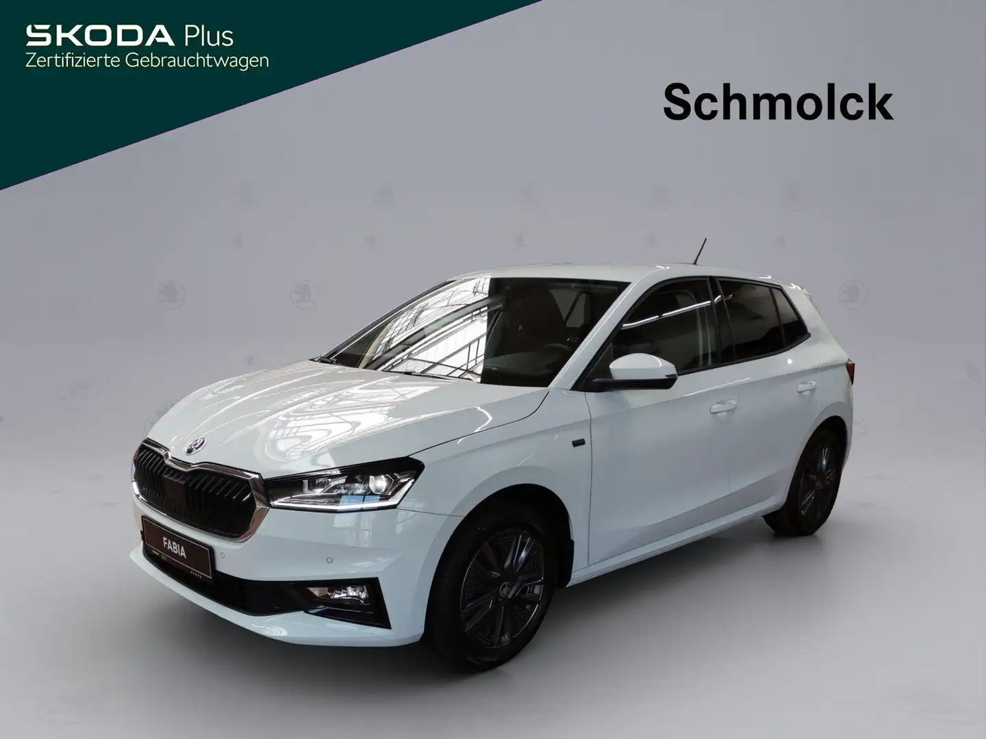 Skoda Fabia Tour 1.0 MPI 80 PS CLIMATRONIC LED PDC Weiß - 1