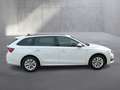 Skoda Octavia Selection TDI DSG Weiß - thumbnail 5