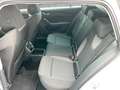 Skoda Octavia Selection TDI DSG Weiß - thumbnail 11