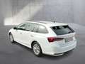 Skoda Octavia Selection TDI DSG Weiß - thumbnail 3