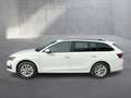 Skoda Octavia Selection TDI DSG Weiß - thumbnail 2