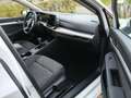 Volkswagen Golf 1.5 TSI Life Edition Wit - thumbnail 35