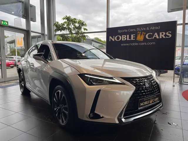 Lexus 250 h Style AHK LED SHZ CARPLAY RFK