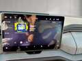 Skoda Kodiaq 4x4 Selection TDI DSG Grau - thumbnail 10