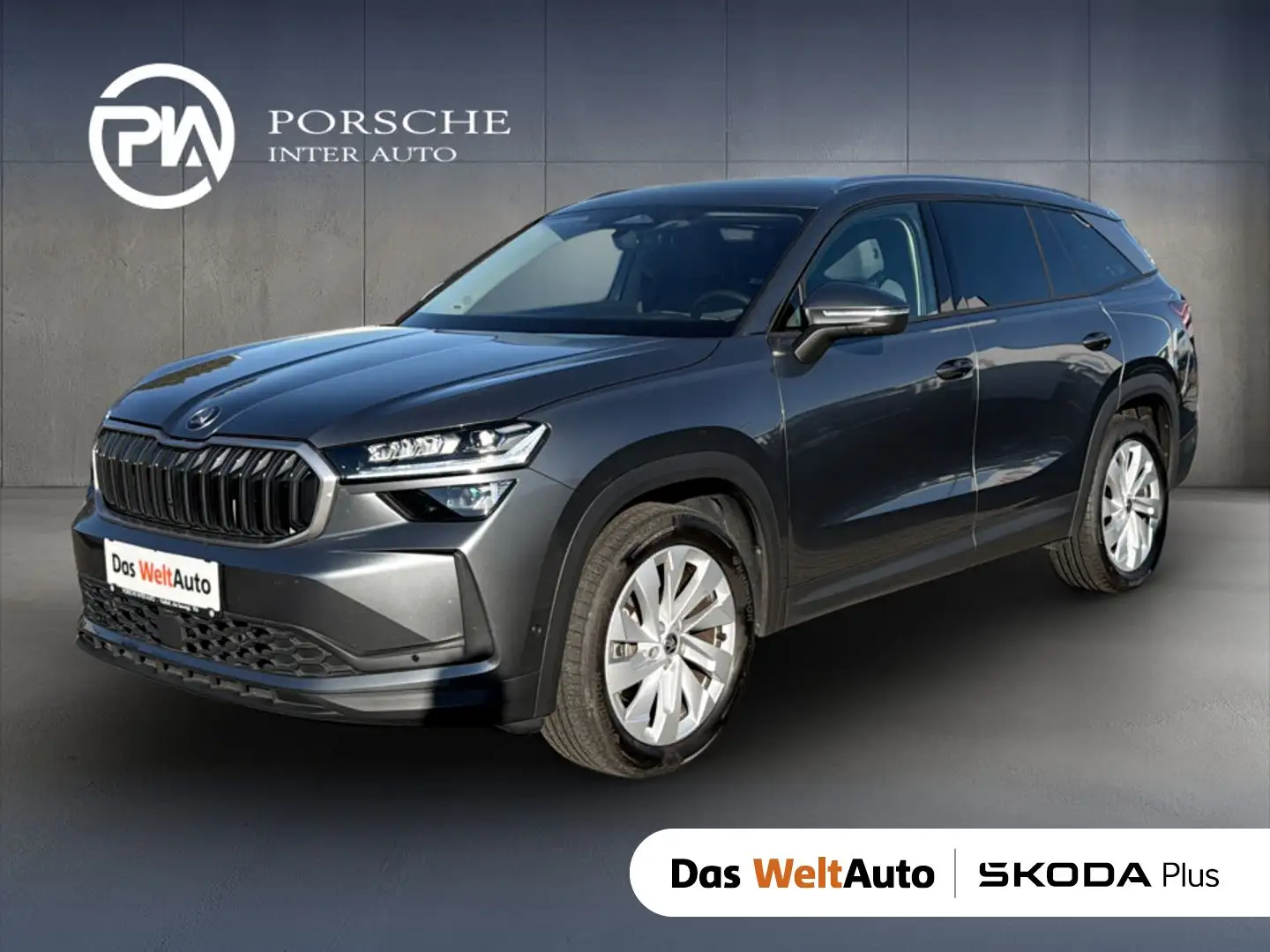 Skoda Kodiaq 4x4 Selection TDI DSG Grau - 1