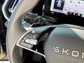 Skoda Kodiaq 4x4 Selection TDI DSG Grau - thumbnail 20