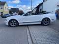 Ford Mustang V6 GT Cabrio 500 White - thumbnail 7