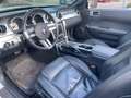 Ford Mustang V6 GT Cabrio 500 Білий - thumbnail 13