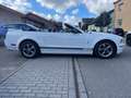 Ford Mustang V6 GT Cabrio 500 White - thumbnail 8