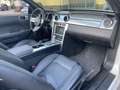 Ford Mustang V6 GT Cabrio 500 Alb - thumbnail 15