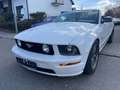 Ford Mustang V6 GT Cabrio 500 Wit - thumbnail 16