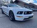 Ford Mustang V6 GT Cabrio 500 Wit - thumbnail 17