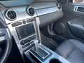 Ford Mustang V6 GT Cabrio 500 Bílá - thumbnail 14