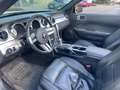 Ford Mustang V6 GT Cabrio 500 Білий - thumbnail 9