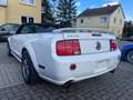 Ford Mustang V6 GT Cabrio 500 Weiß - thumbnail 4