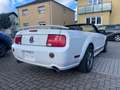 Ford Mustang V6 GT Cabrio 500 Bianco - thumbnail 6