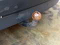 Renault Scenic 1.2 TCe Bose 2014 NAP PANO NAVI CRUISE TREKHAAK Gris - thumbnail 36