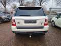 Land Rover Range Rover Sport V6 TD / Leder / Weiß - thumbnail 5