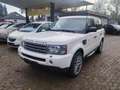Land Rover Range Rover Sport V6 TD / Leder / Weiß - thumbnail 1