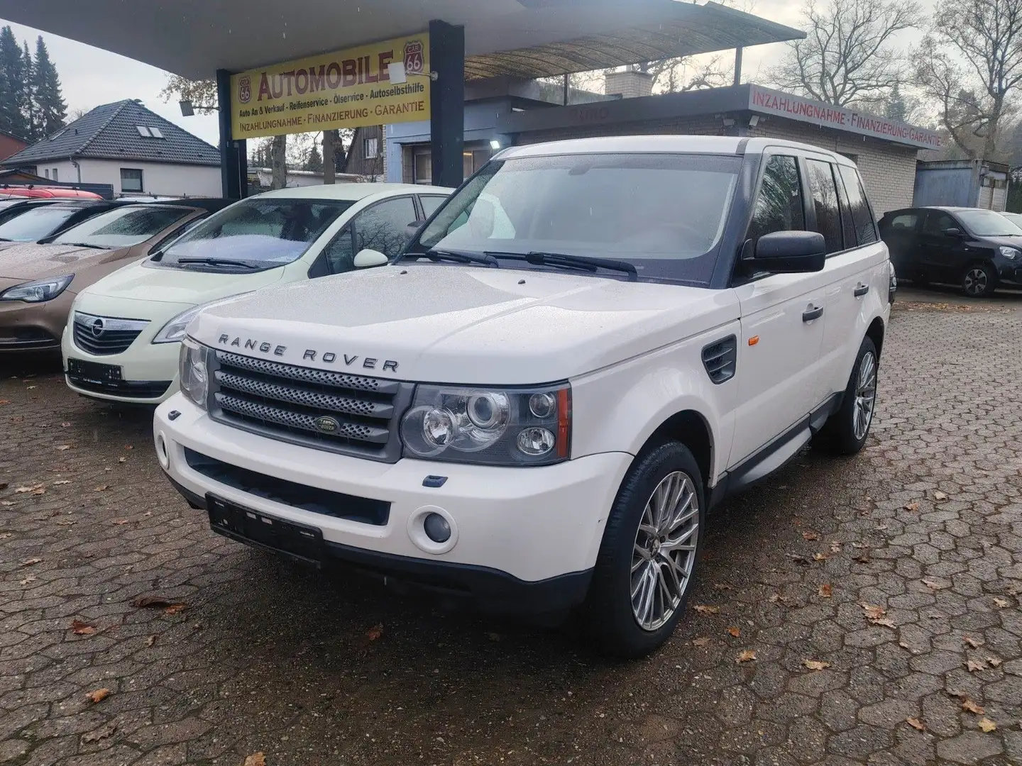 Land Rover Range Rover Sport V6 TD / Leder / Weiß - 1
