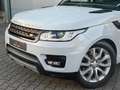 Land Rover Range Rover Sport SE PANO|HIFI|ASSISTENZ-PAKET Weiß - thumbnail 2