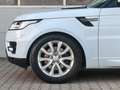 Land Rover Range Rover Sport SE PANO|HIFI|ASSISTENZ-PAKET Weiß - thumbnail 3