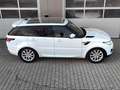 Land Rover Range Rover Sport SE PANO|HIFI|ASSISTENZ-PAKET Weiß - thumbnail 10