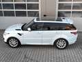 Land Rover Range Rover Sport SE PANO|HIFI|ASSISTENZ-PAKET Weiß - thumbnail 4