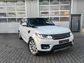 Land Rover Range Rover Sport SE PANO|HIFI|ASSISTENZ-PAKET Weiß - thumbnail 11