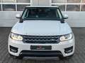Land Rover Range Rover Sport SE PANO|HIFI|ASSISTENZ-PAKET Weiß - thumbnail 12