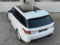 Land Rover Range Rover Sport SE PANO|HIFI|ASSISTENZ-PAKET Weiß - thumbnail 6