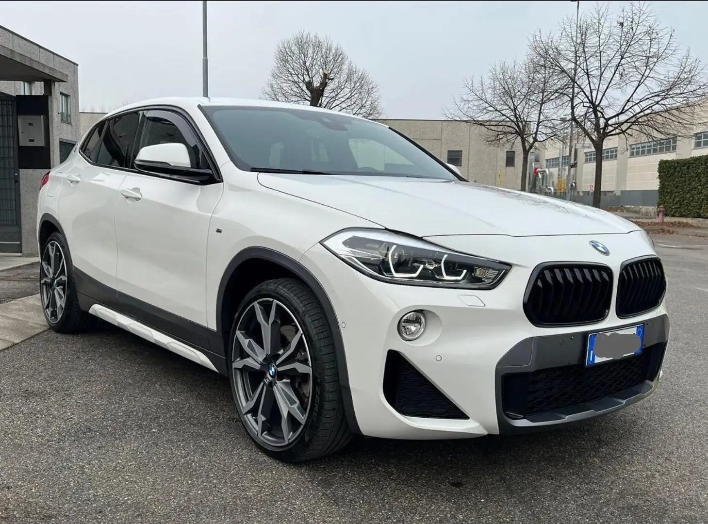 BMW X2 xdrive25d Msport auto - 1