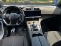 DS Automobiles DS 7 Crossback DS 7 Crossback Be Chic Bianco - thumbnail 7