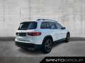 Mercedes-Benz GLB 250 GLB 250 4MATIC AMG Line LED NAVI PANO STANDH 360° Blanc - thumbnail 4
