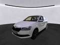 Skoda Fabia 1.0 TSI DSG *AHK *TEMPO *SHZ *PDC *KLIMA *DAB *AP Weiß - thumbnail 2