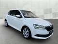 Skoda Fabia 1.0 TSI DSG *AHK *TEMPO *SHZ *PDC *KLIMA *DAB *AP Weiß - thumbnail 2