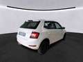 Skoda Fabia 1.0 TSI DSG *AHK *TEMPO *SHZ *PDC *KLIMA *DAB *AP Weiß - thumbnail 3