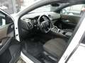 DS Automobiles DS 7 Crossback DS7 Crossback DS7 1.5 bluehdi Business 130cv auto Bianco - thumbnail 7
