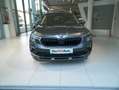 Skoda Kamiq Selection TSI DSG Grau - thumbnail 2