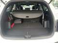 Kia Sorento 1,6 T-GDi Plug-In Hybrid GPF AWD Platin Aut. Weiß - thumbnail 14