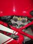 Ducati 749 R numerata Czerwony - thumbnail 5