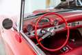 Ford Thunderbird - Y Block V8 - Collectors Car crvena - thumbnail 6