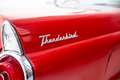 Ford Thunderbird - Y Block V8 - Collectors Car Rouge - thumbnail 24