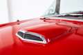 Ford Thunderbird - Y Block V8 - Collectors Car Piros - thumbnail 19